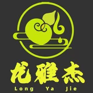 龙雅杰旗舰店 店铺LOGO