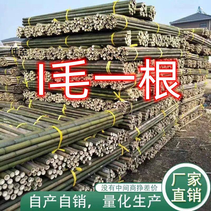 富竹满忆园艺旗舰店