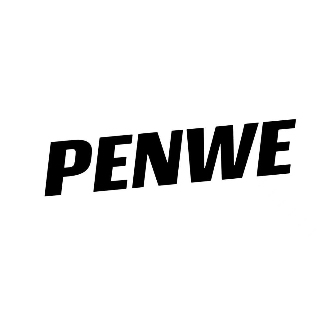 PENWE旗舰店