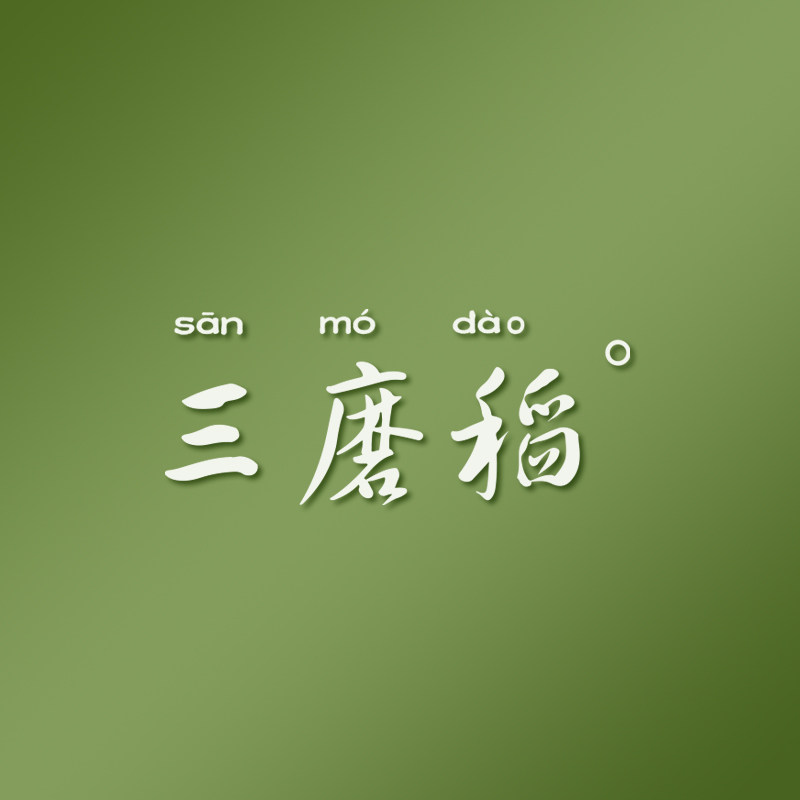 三磨稻旗舰店 店铺LOGO