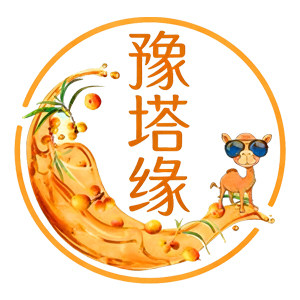 豫塔缘新疆沙棘基地