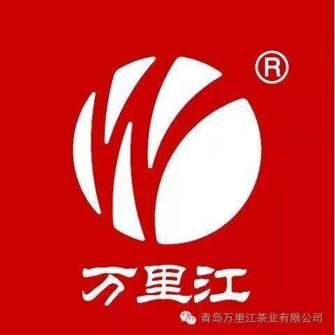 万里江旗舰店