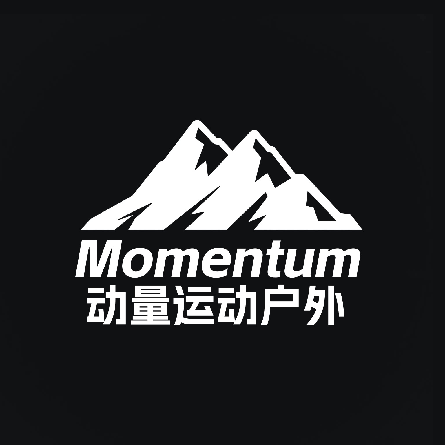 动量运动户外海外专营店