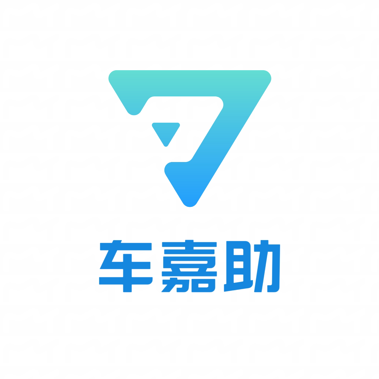 车嘉助旗舰店