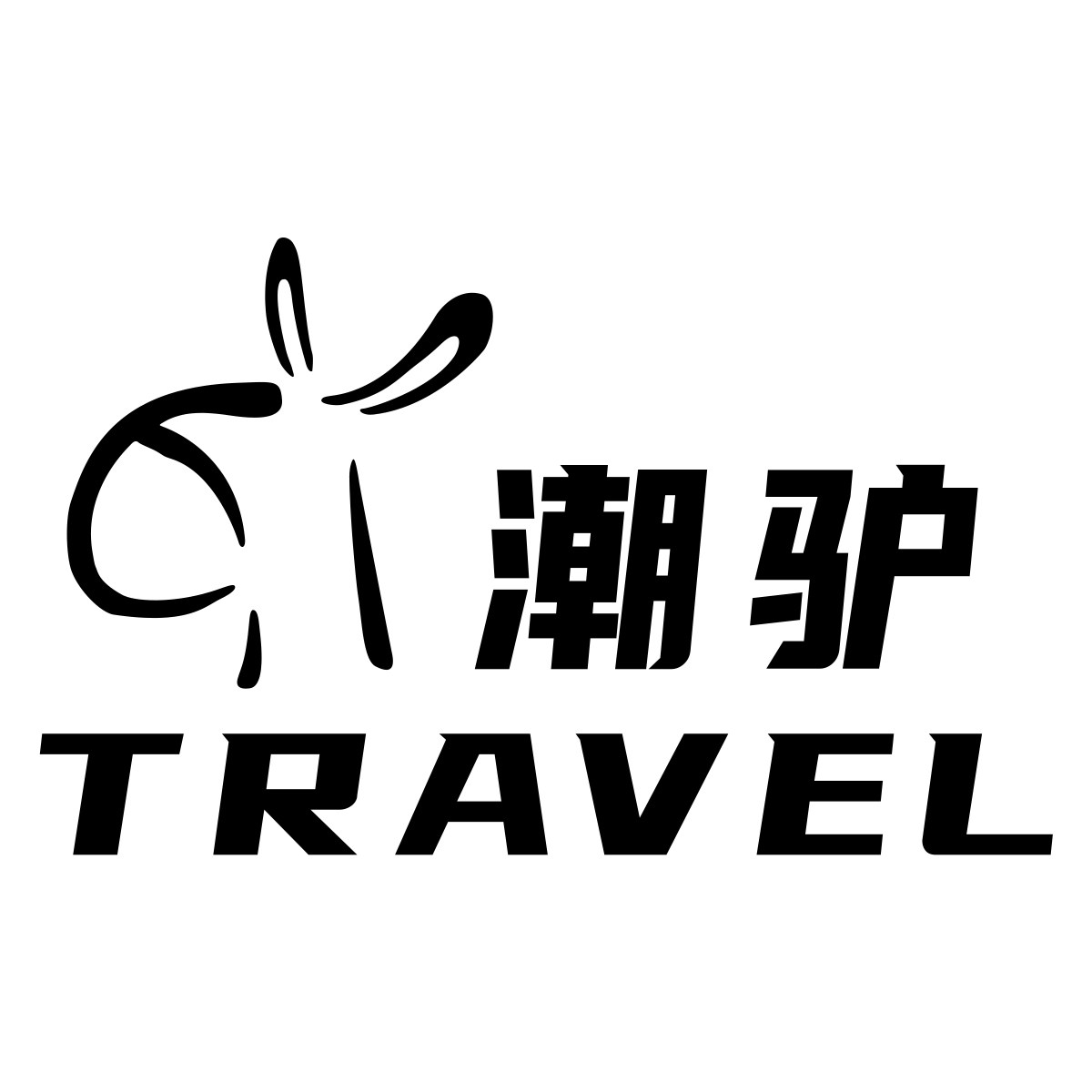 潮驴旅游旗舰店