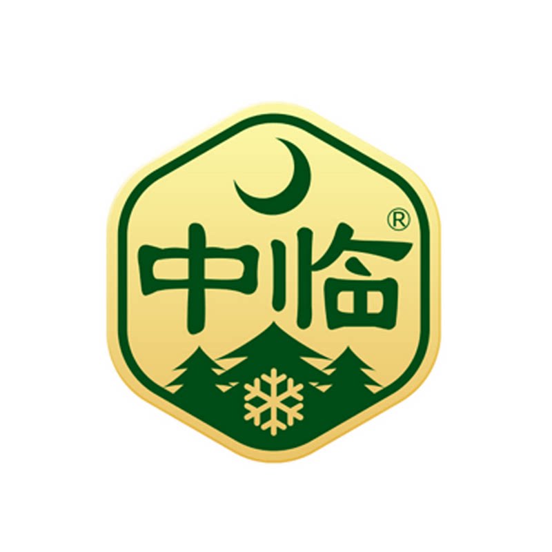 中临旗舰店