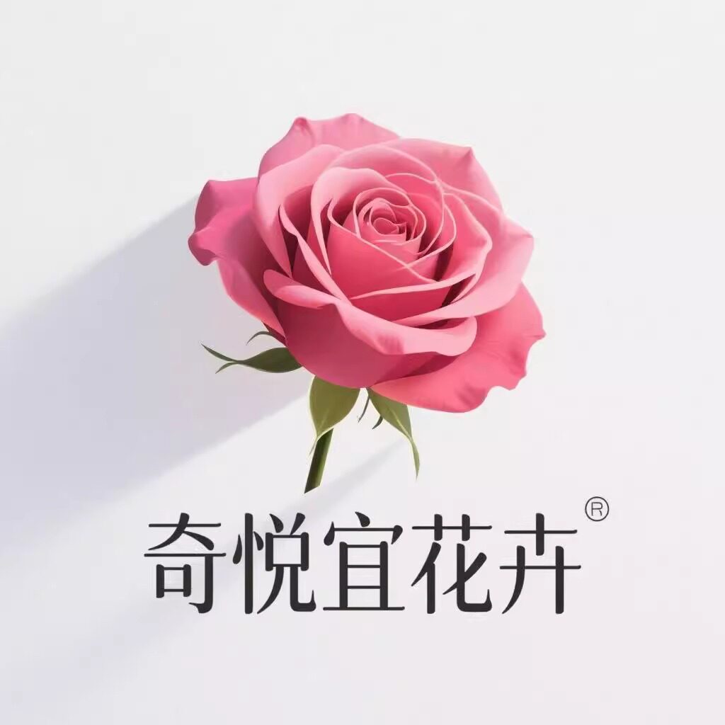 奇悦宜旗舰店