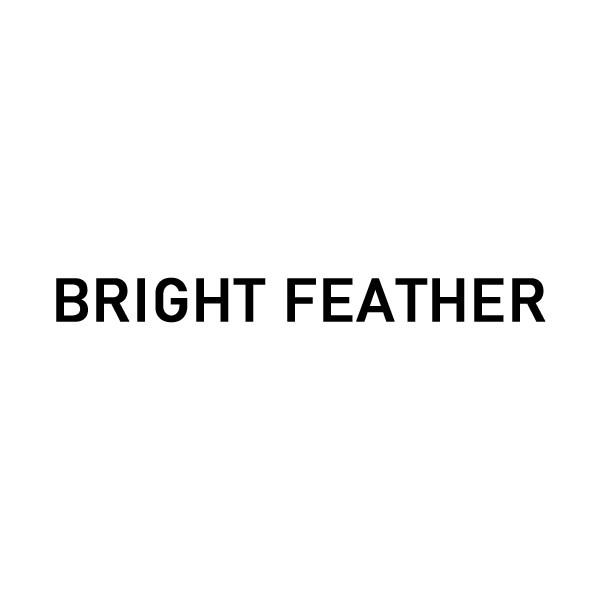 BRIGHT FEATHER男鞋旗舰店