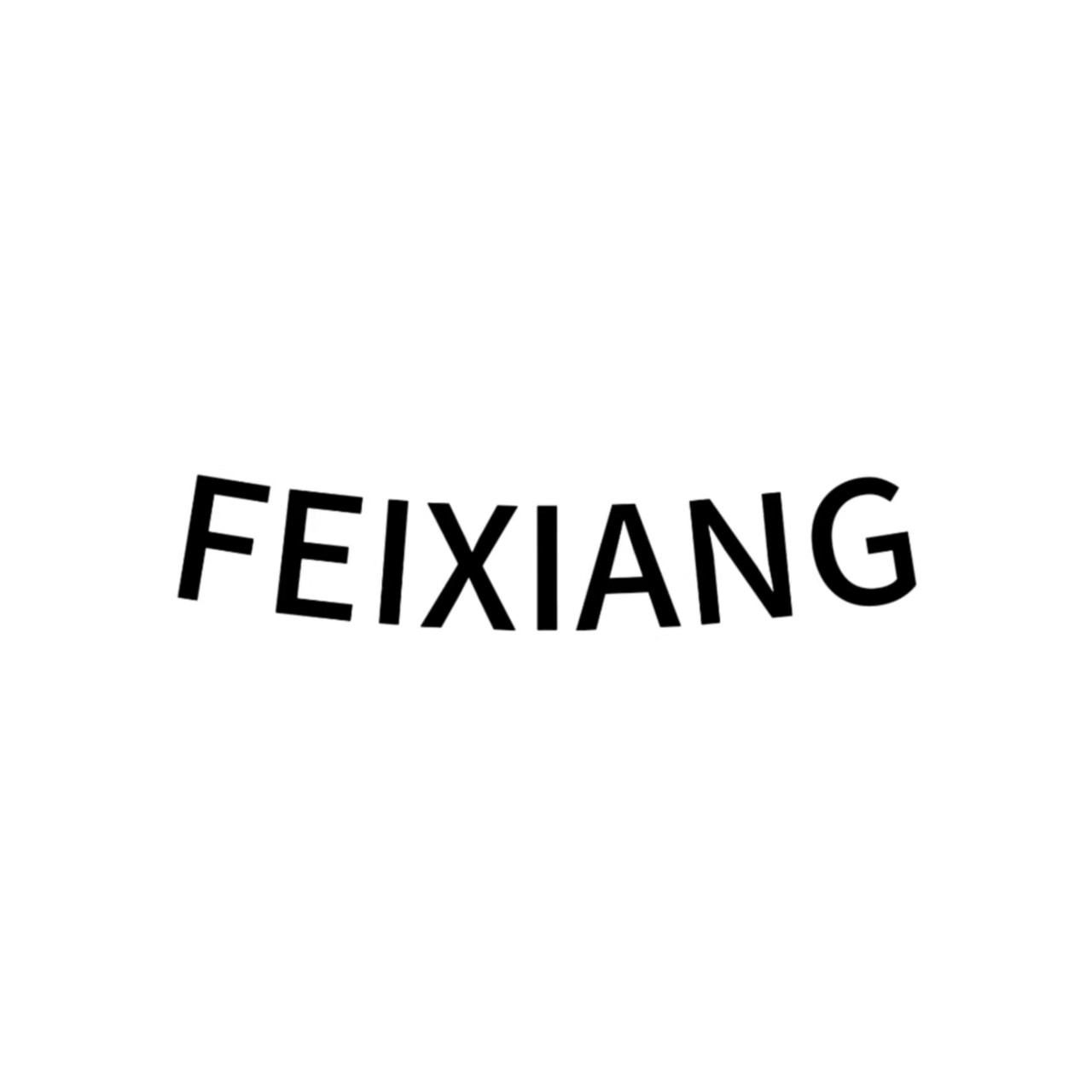 FEIXIANG星牌箱包店 店铺LOGO