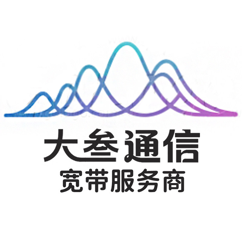 大叁通信专营店