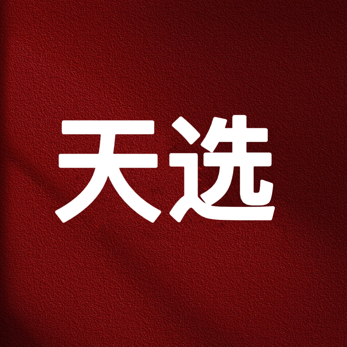 天选车品