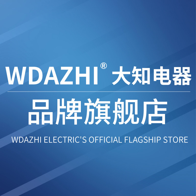 大知旗舰店 店铺LOGO