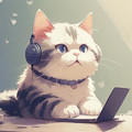 金豆豆猫舍