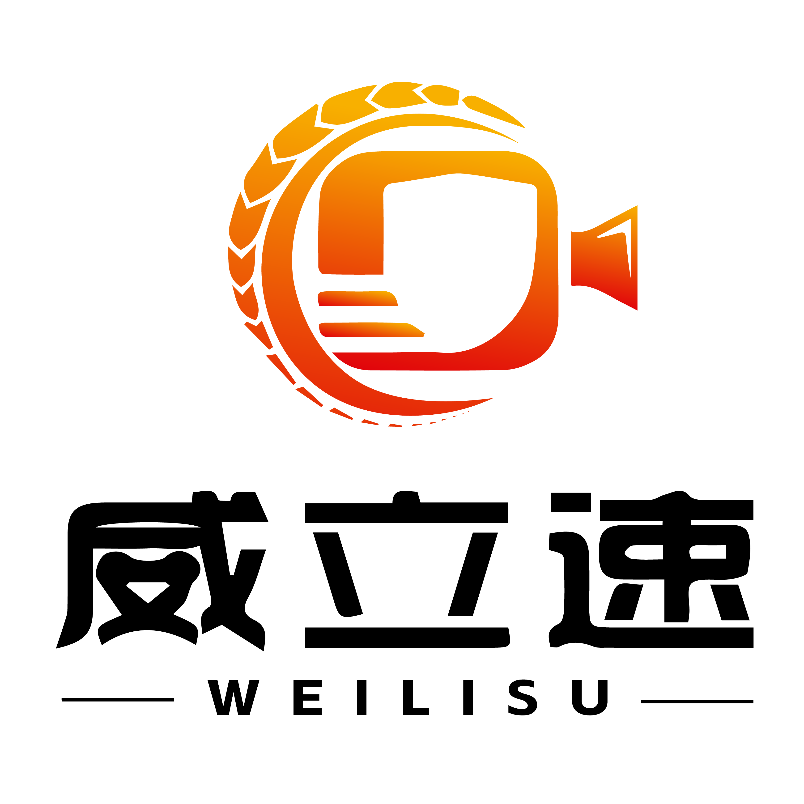 威立速旗舰店 店铺LOGO
