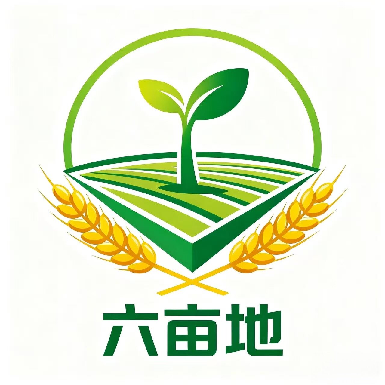 六亩地种业 店铺LOGO