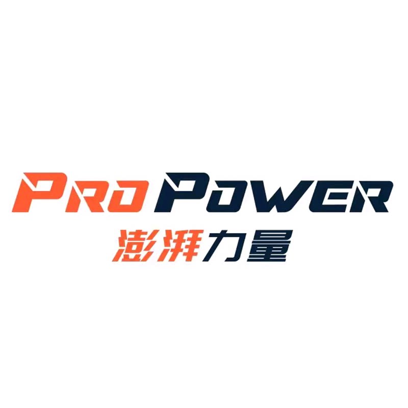 PROPOWER旗舰店 店铺LOGO