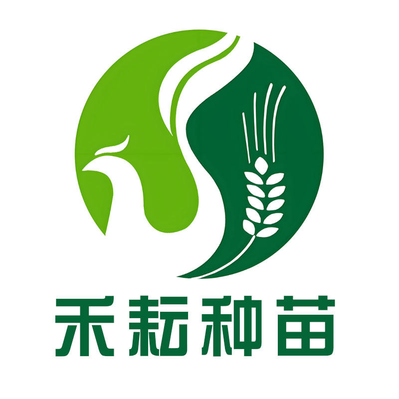 禾耘种苗