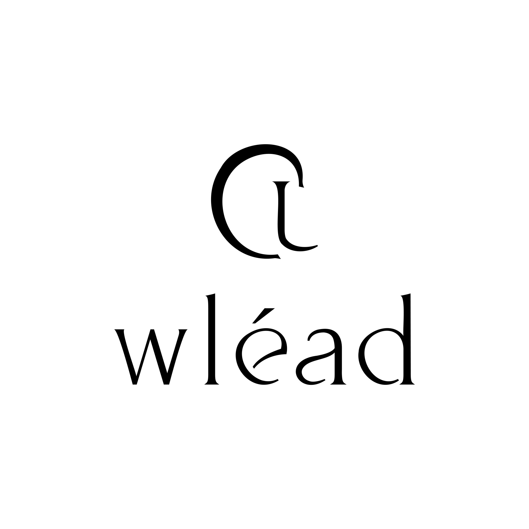 Wlead海外旗舰店