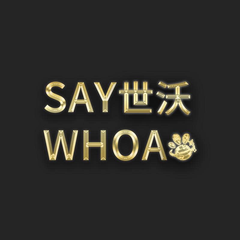 saywhoa世沃旗舰店