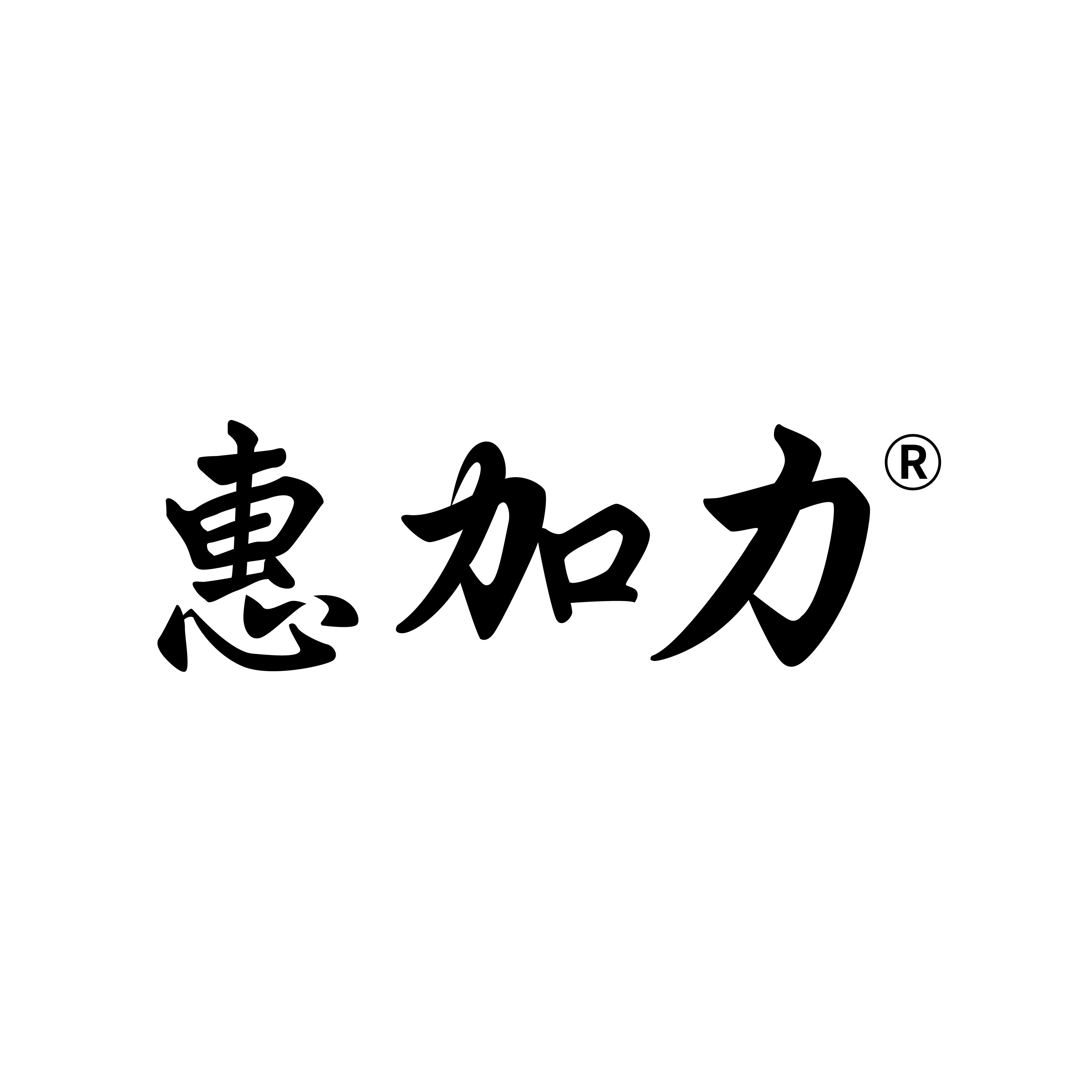惠加力旗舰店