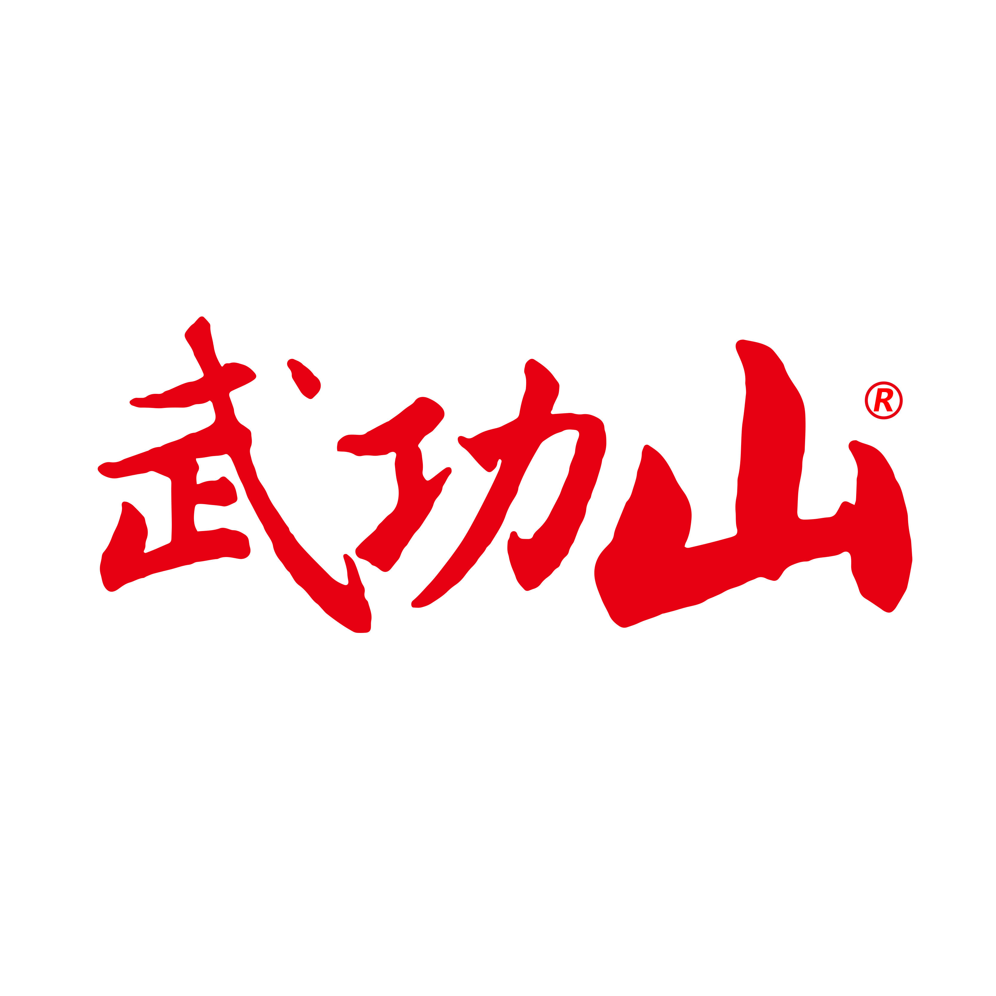 武功山食品旗舰店