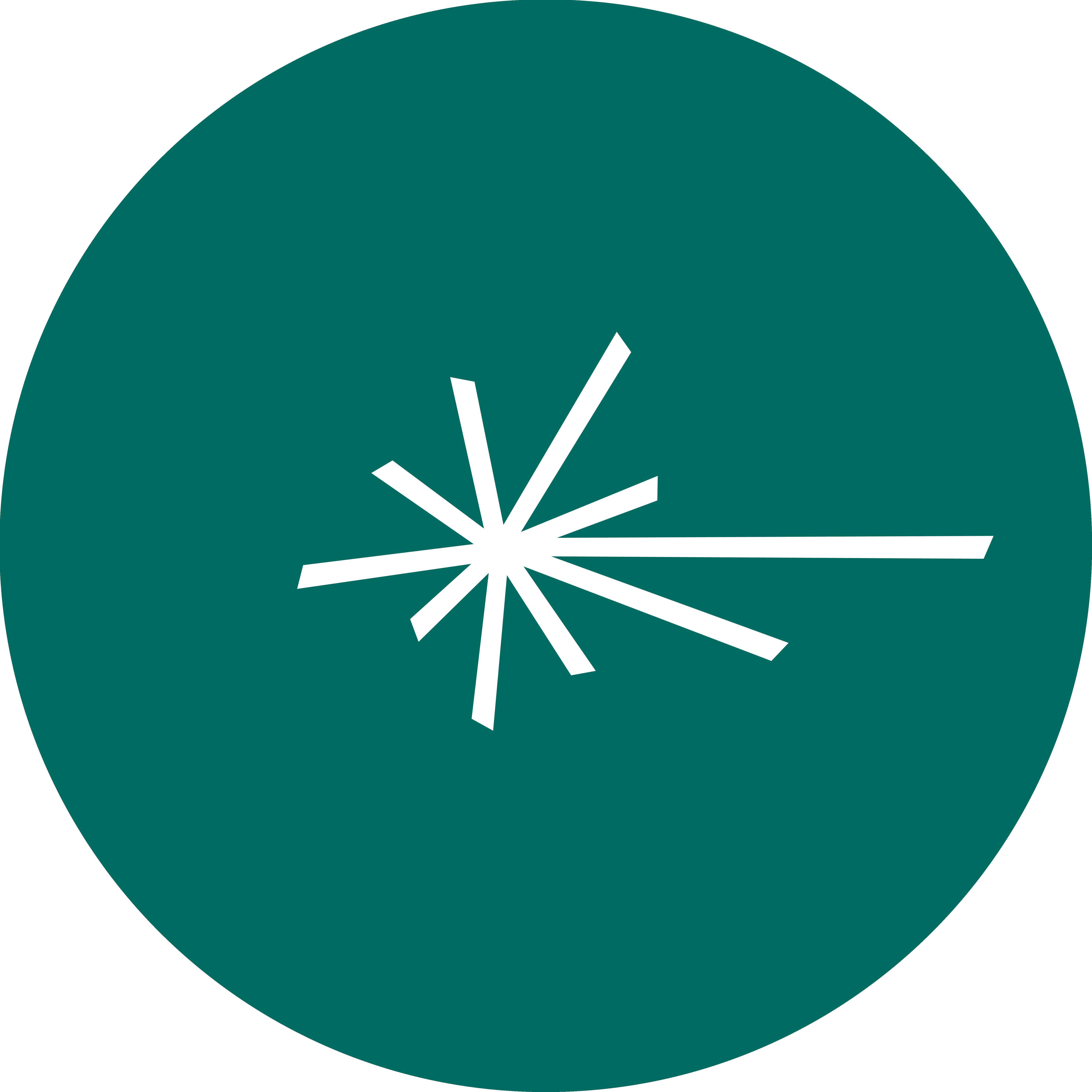 infinityseek海外旗舰店 店铺LOGO