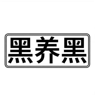 黑养黑健康食品店