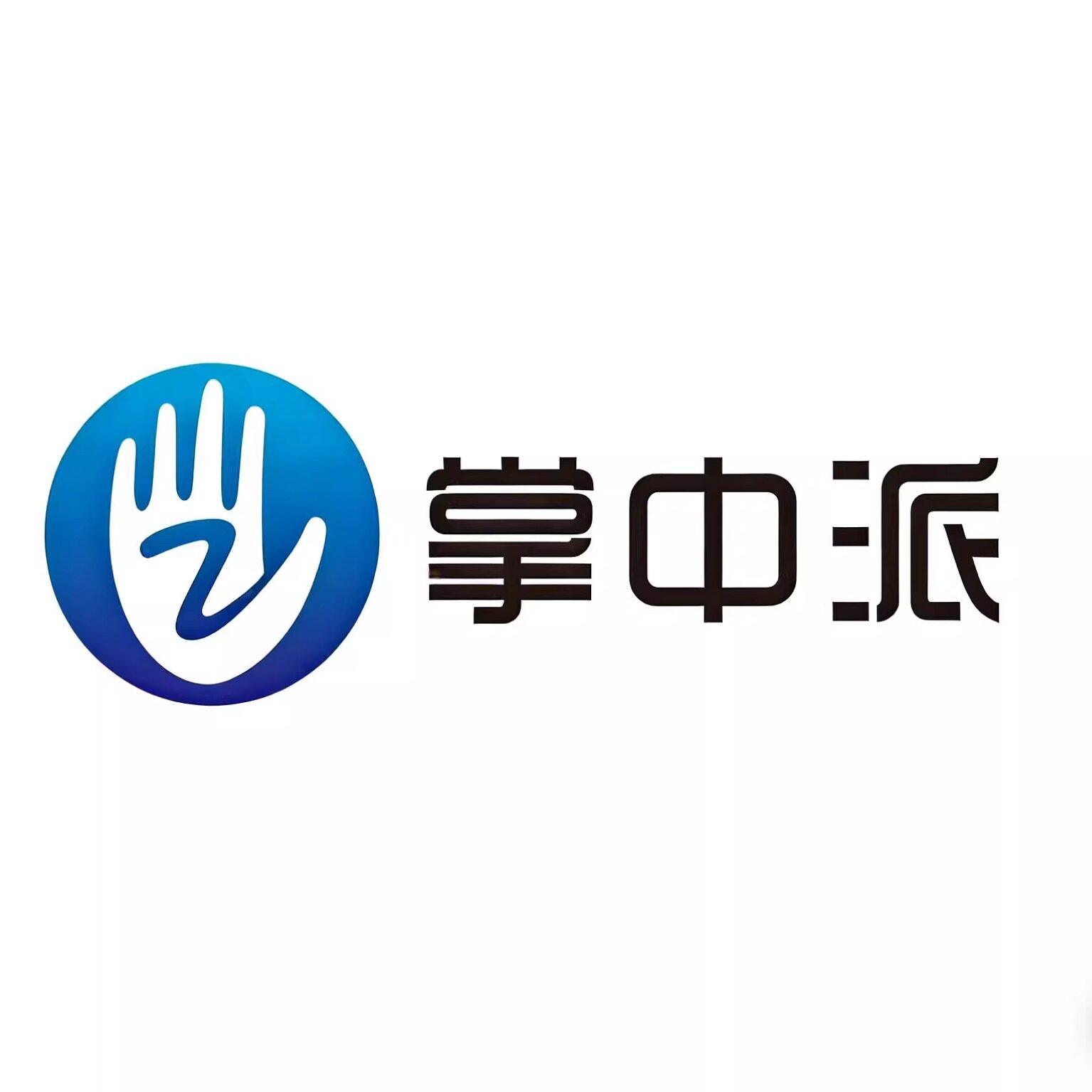 掌中派旗舰店