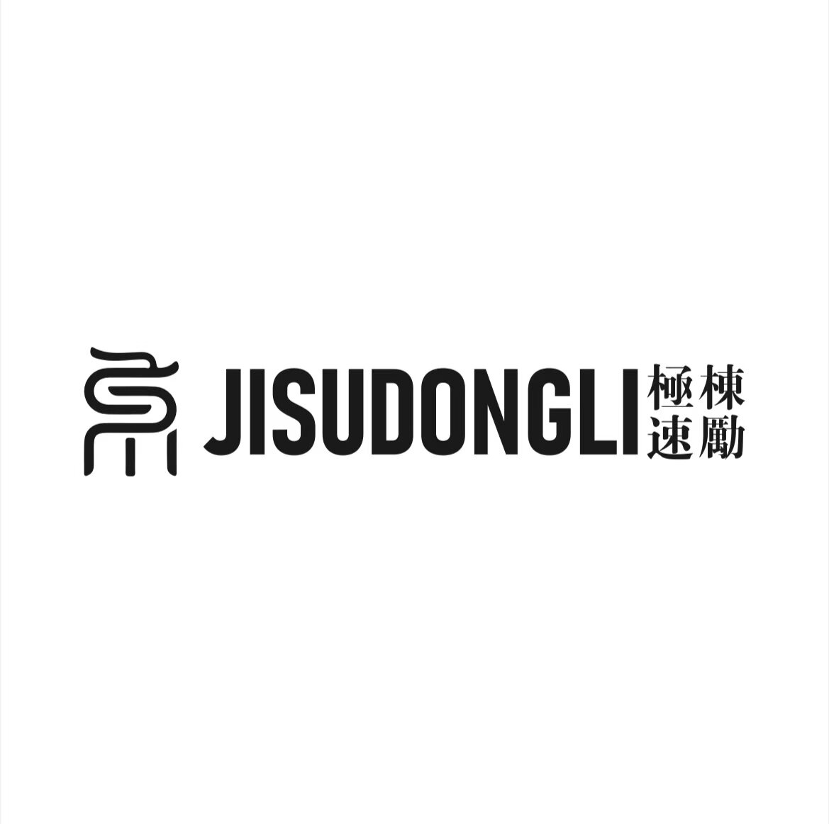 极速栋励旗舰店 店铺LOGO