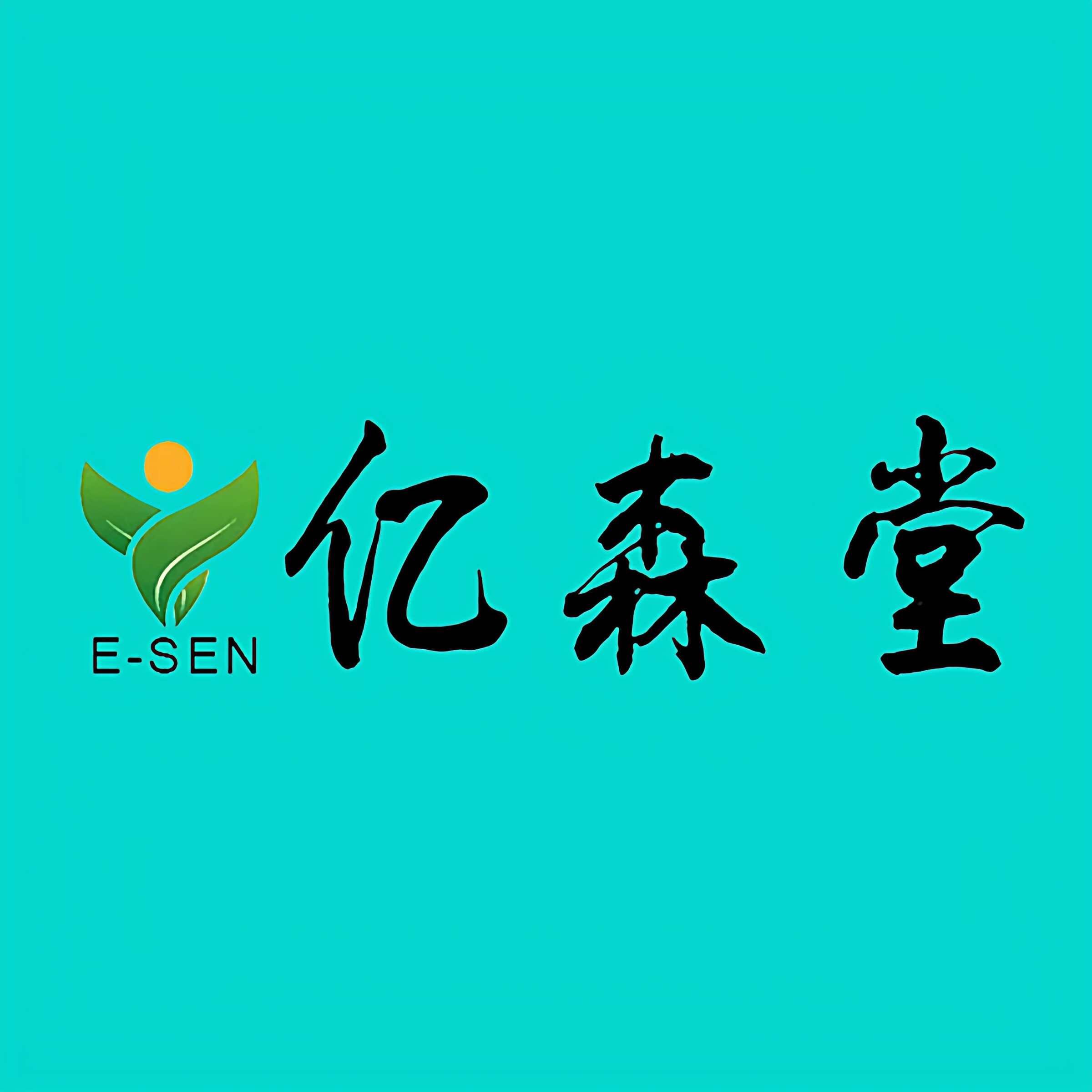 亿森堂医疗器械旗舰店 店铺LOGO