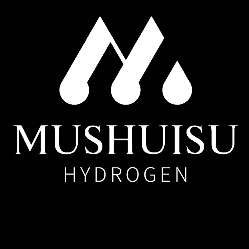 沐の水素旗舰店