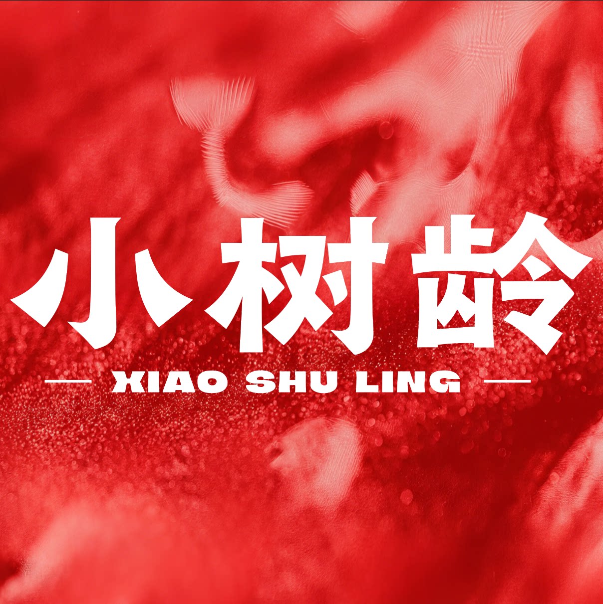 小树龄旗舰店