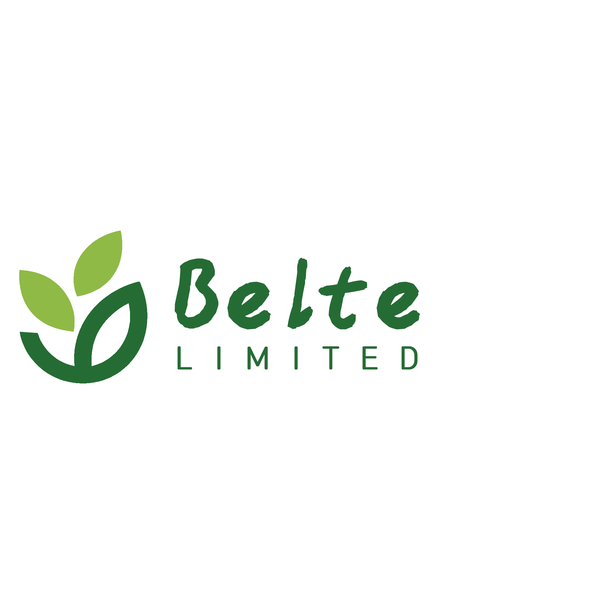 Belte健康海外专营店