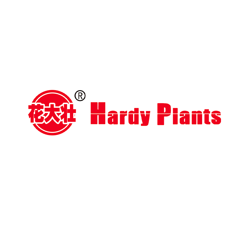 花大壮旗舰店 店铺LOGO