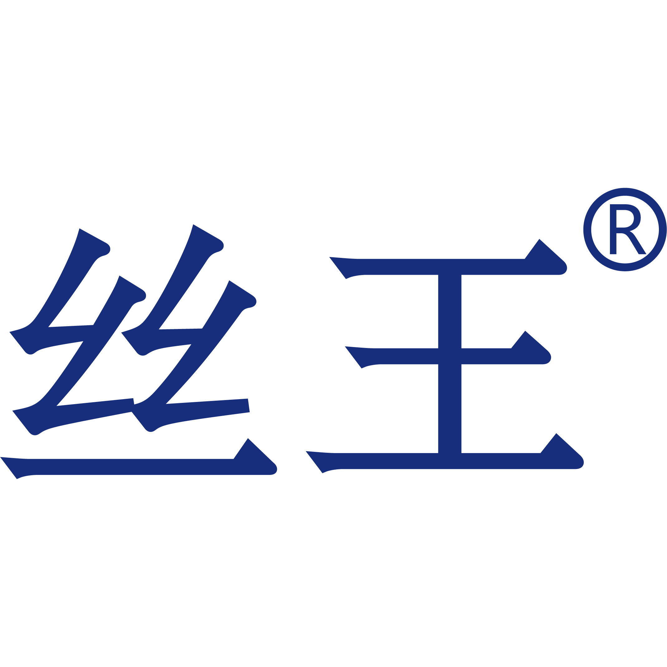 丝王旗舰店