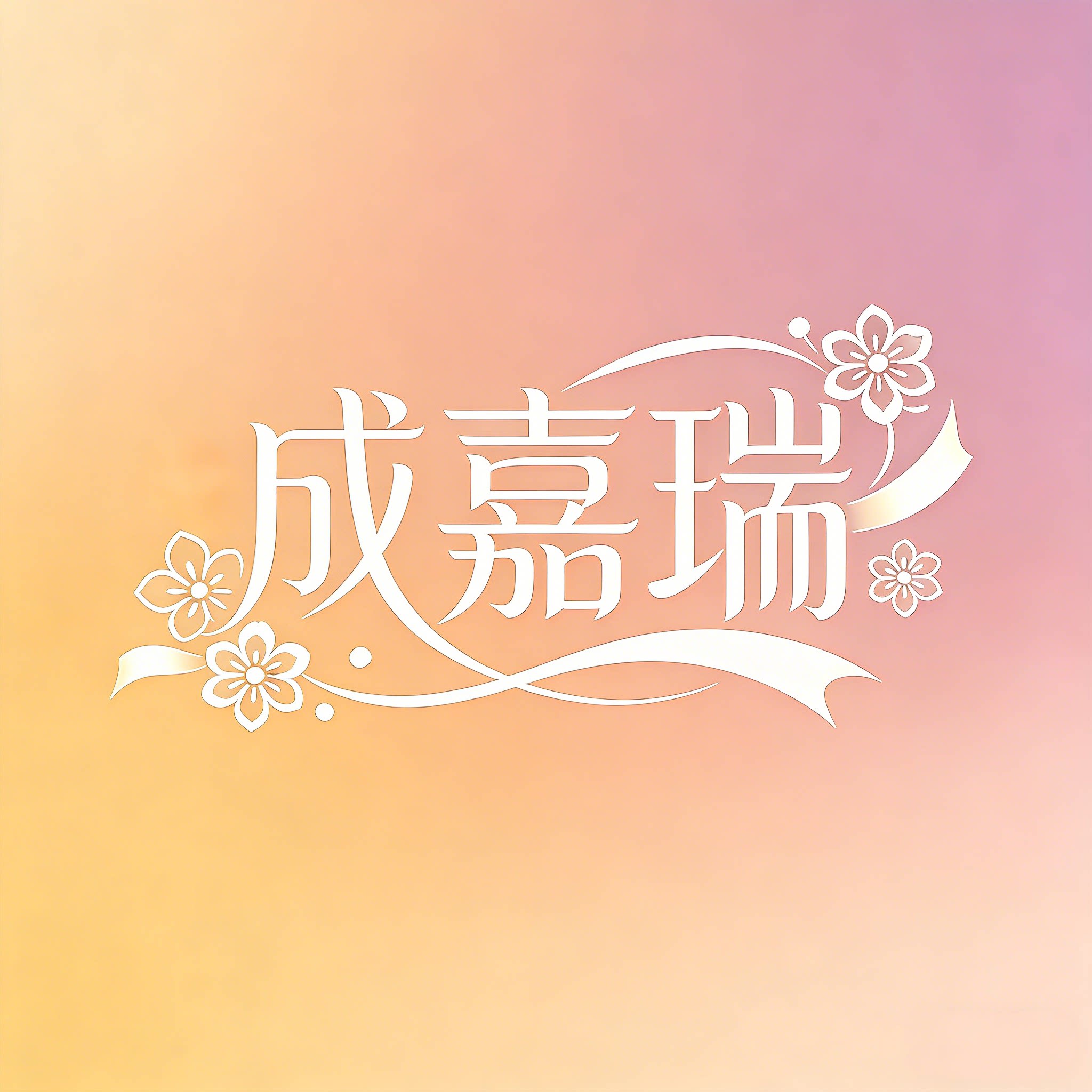 成嘉瑞旗舰店
