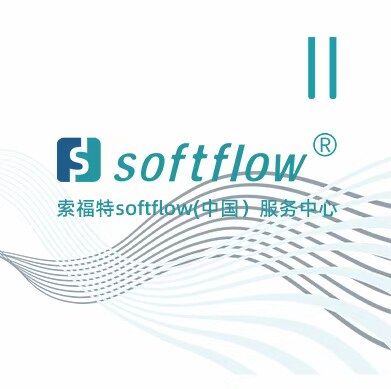 softflow仪表旗舰店