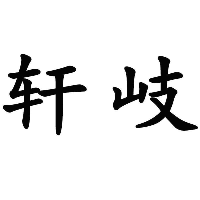 轩岐医药专营店