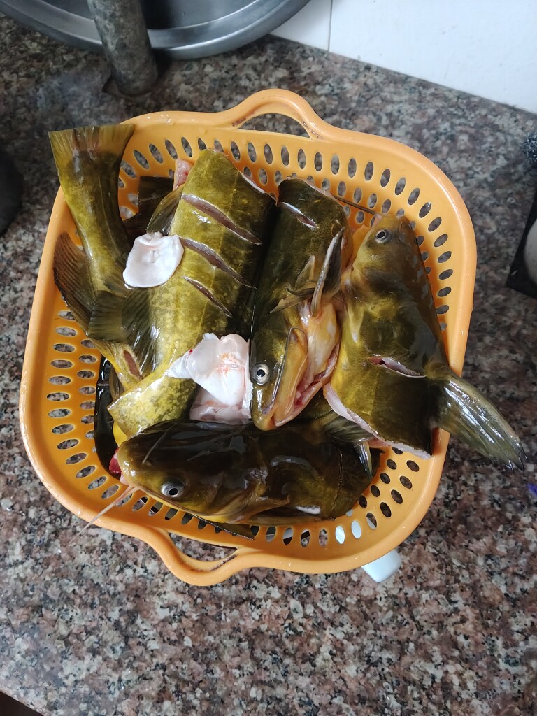 老古家的鱼饵添加剂 店铺LOGO