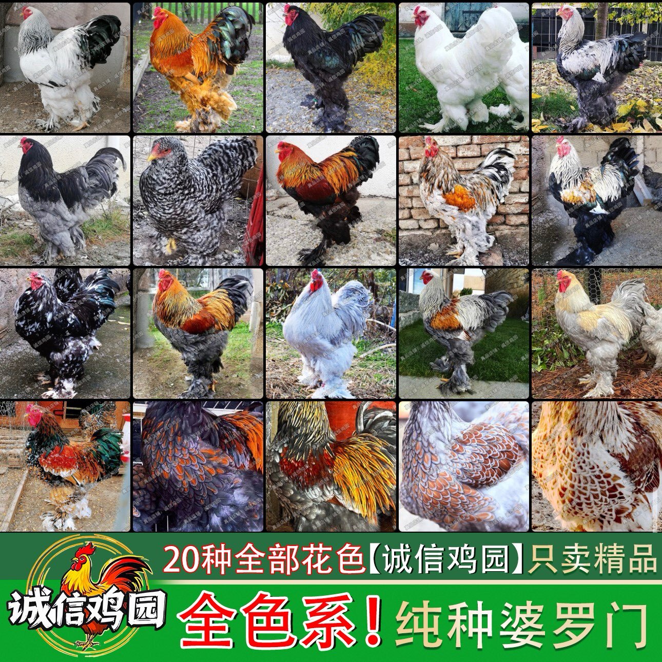 农点妙店
