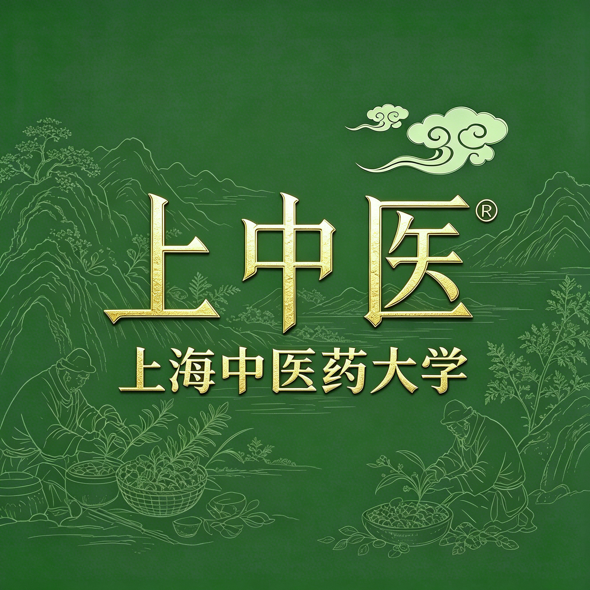 上中医迅江专卖店