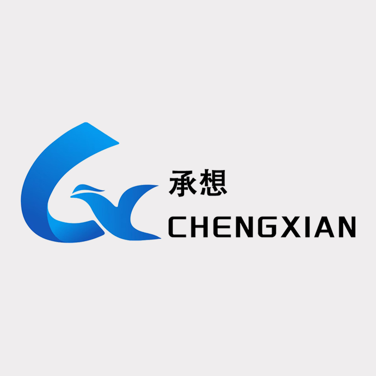 承想服饰企业店