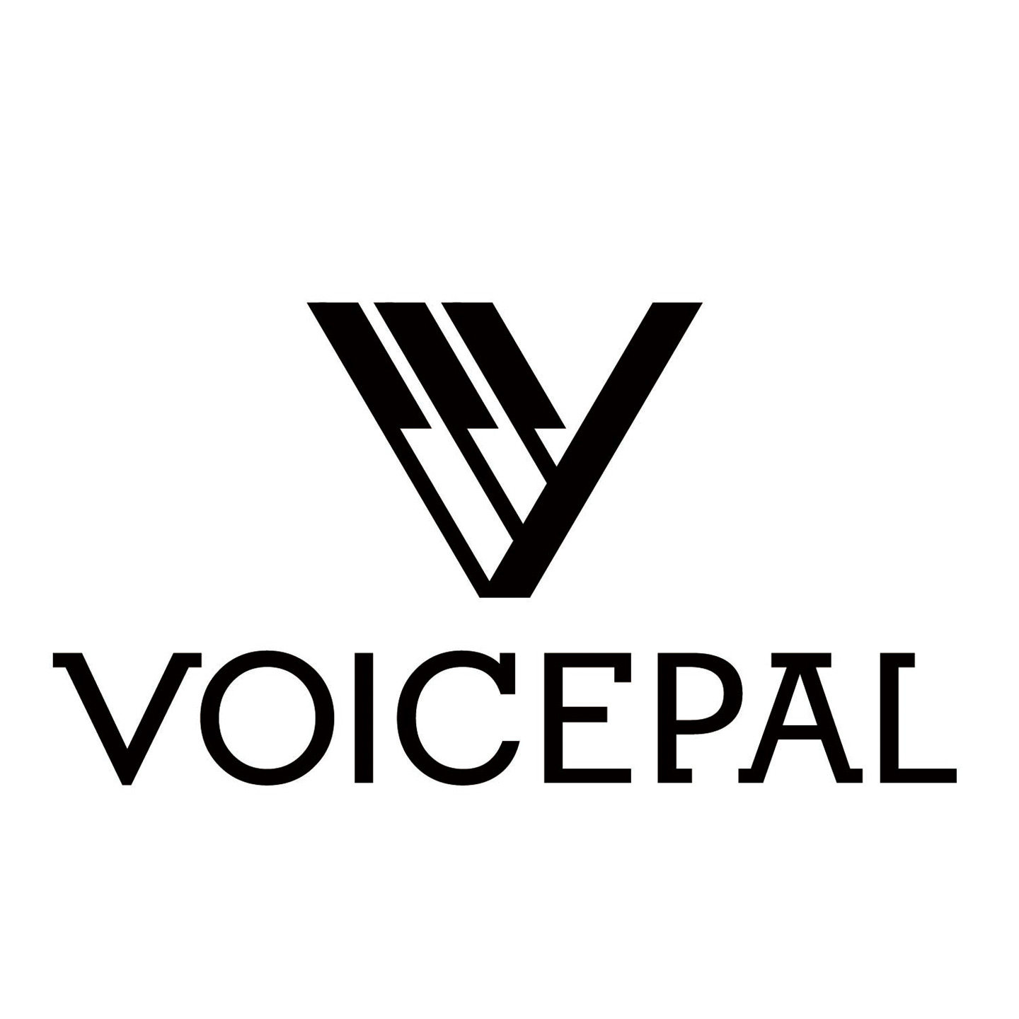 VOICEPAL声派多啤梨专卖店
