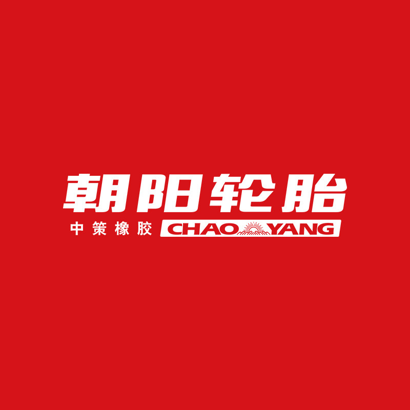 朝阳电动车旗舰店 店铺LOGO