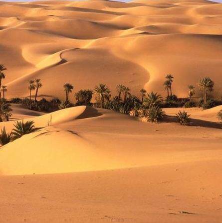DESERT红外热像基地