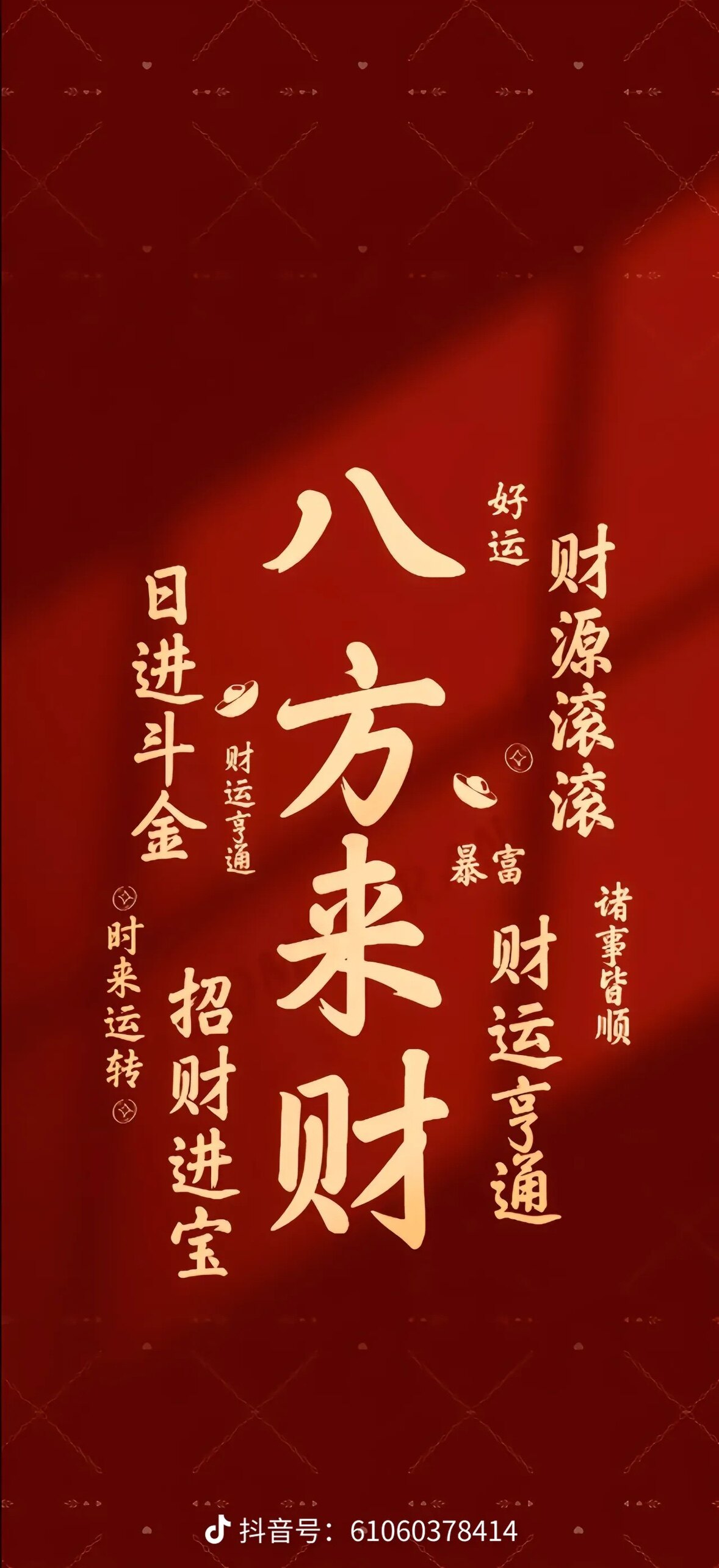 九六纯棉女装T