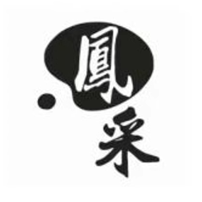 龙姿凤采高端定制鞋服 店铺LOGO