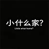 小什么家