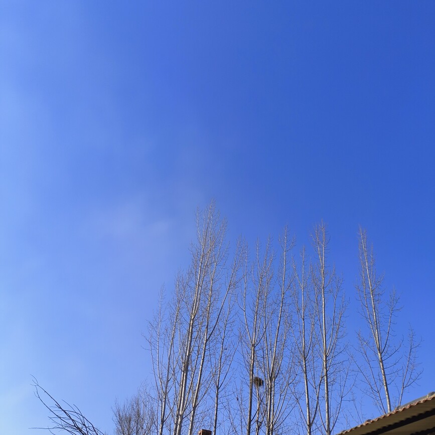 平原县美来源