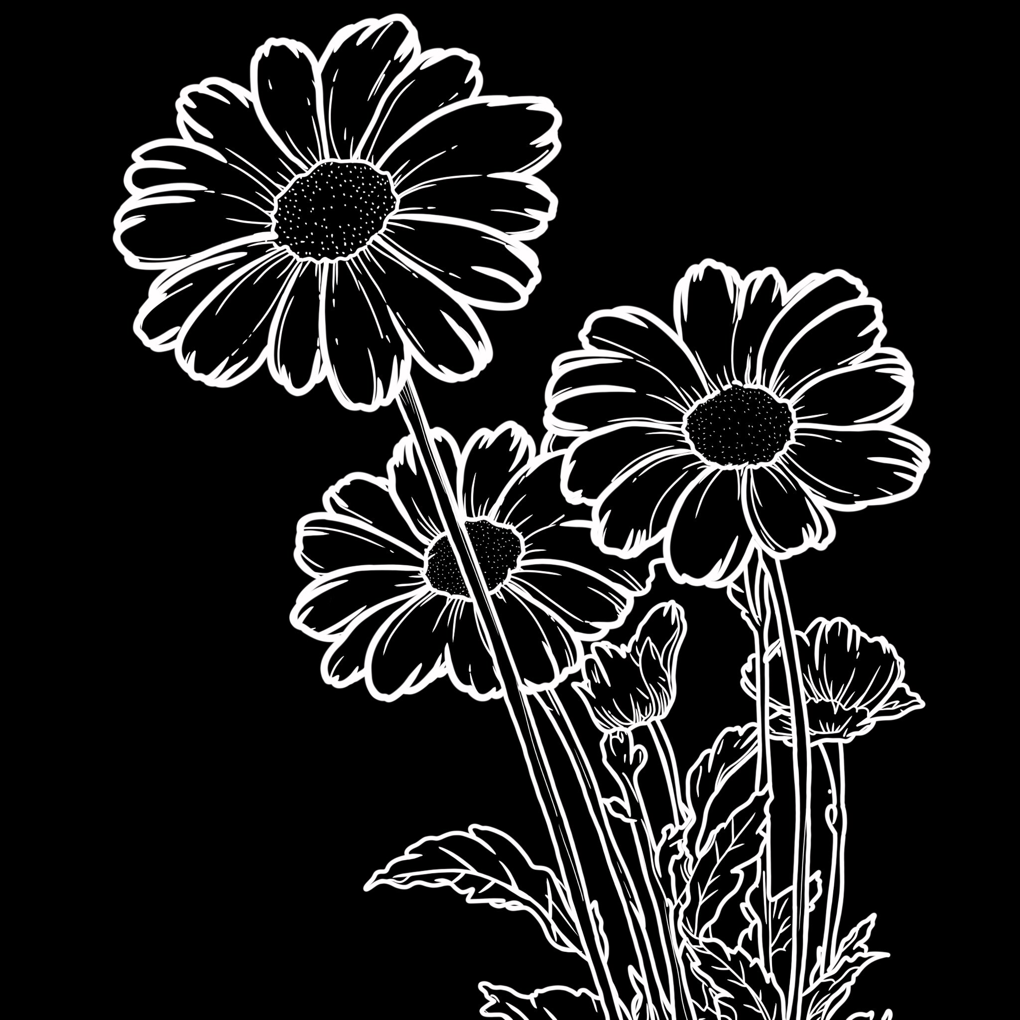 Bellis perennis 店铺LOGO